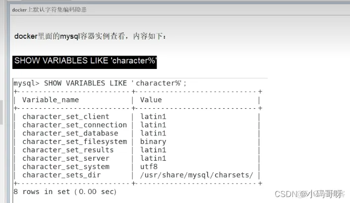 docker对软件的要求 docker必装软件_docker对软件的要求_23